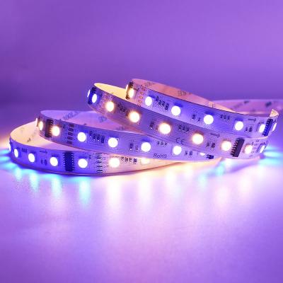 60 LEDs 10Pixels DMX512 LED Strip