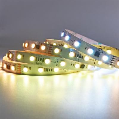 60 LEDs 10Pixels DMX512 LED Strip