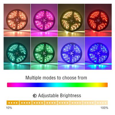 60 LEDs SMD5050 Constant Current LED Strip