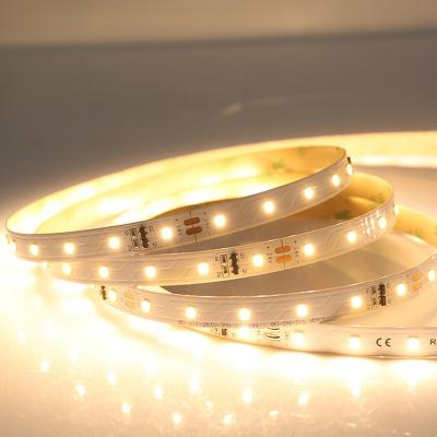 60 LEDs SMD2835 Constant Current LED Strip