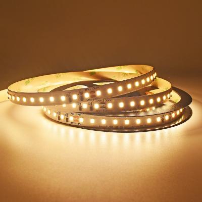 120 LEDs SMD2835 Constant Current LED Strip