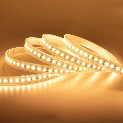 120 LEDs High Voltage LED Strip