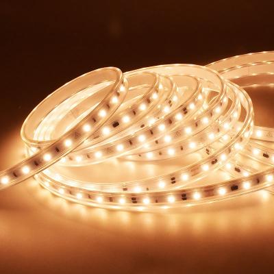 60 LEDs High Voltage LED Strip