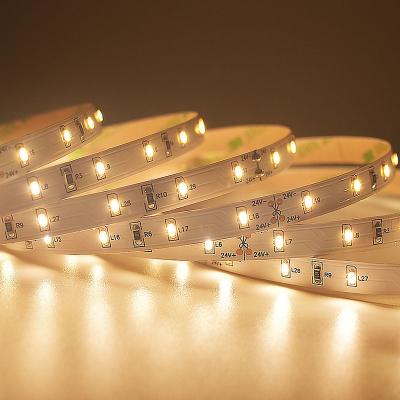 60 LEDs SMD 3014 LED Strip