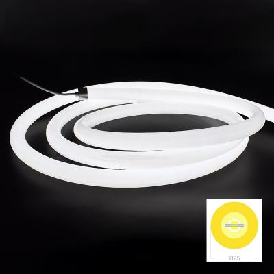 D25 Diy Round View Neon Tube